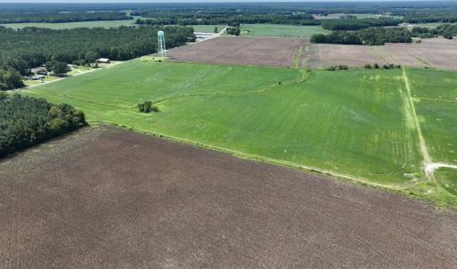 Photo #14 of SOLD property in 1395 Hwy 58 South - Tract #1, Kinston, NC 171.8 acres