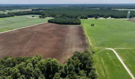 Photo #16 of SOLD property in 1395 Hwy 58 South - Tract #1, Kinston, NC 171.8 acres