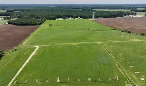 Photo #17 of SOLD property in 1395 Hwy 58 South - Tract #1, Kinston, NC 171.8 acres
