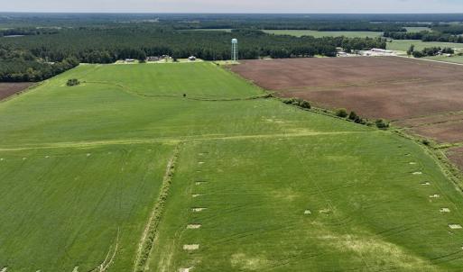 Photo #18 of SOLD property in 1395 Hwy 58 South - Tract #1, Kinston, NC 171.8 acres