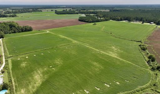 Photo #19 of SOLD property in 1395 Hwy 58 South - Tract #1, Kinston, NC 171.8 acres