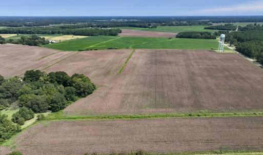 Photo #2 of SOLD property in 1395 Hwy 58 South - Tract #1, Kinston, NC 171.8 acres