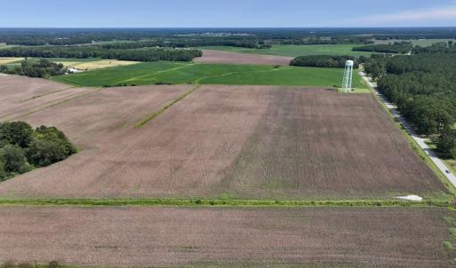 Photo #3 of SOLD property in 1395 Hwy 58 South - Tract #1, Kinston, NC 171.8 acres