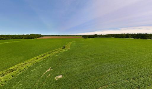 Photo #33 of SOLD property in 1395 Hwy 58 South - Tract #1, Kinston, NC 171.8 acres