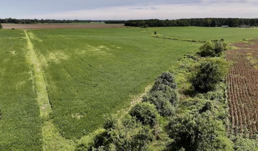 Photo #34 of SOLD property in 1395 Hwy 58 South - Tract #1, Kinston, NC 171.8 acres