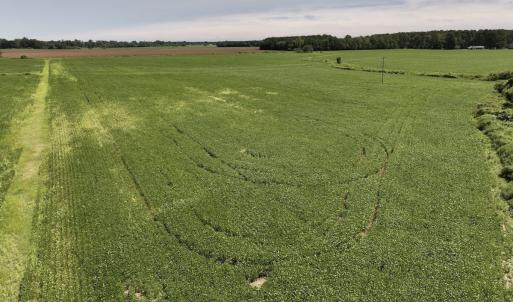 Photo #35 of SOLD property in 1395 Hwy 58 South - Tract #1, Kinston, NC 171.8 acres