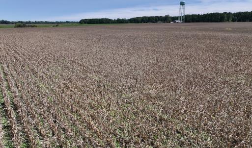 Photo #36 of SOLD property in 1395 Hwy 58 South - Tract #1, Kinston, NC 171.8 acres