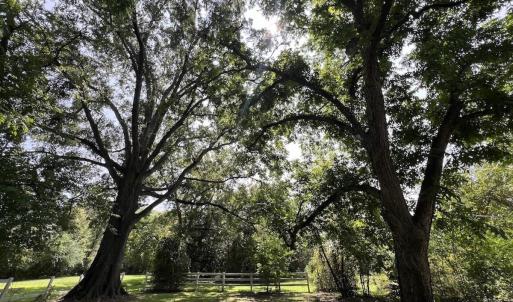 Photo #38 of SOLD property in 1395 Hwy 58 South - Tract #1, Kinston, NC 171.8 acres