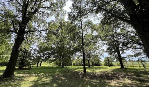 Photo #39 of SOLD property in 1395 Hwy 58 South - Tract #1, Kinston, NC 171.8 acres