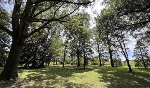 Photo #40 of SOLD property in 1395 Hwy 58 South - Tract #1, Kinston, NC 171.8 acres
