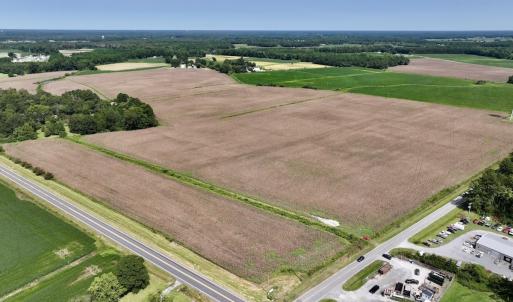 Photo #5 of SOLD property in 1395 Hwy 58 South - Tract #1, Kinston, NC 171.8 acres