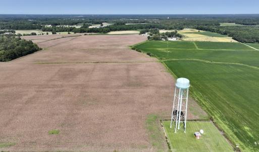 Photo #8 of SOLD property in 1395 Hwy 58 South - Tract #1, Kinston, NC 171.8 acres