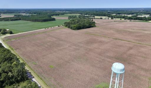 Photo #9 of SOLD property in 1395 Hwy 58 South - Tract #1, Kinston, NC 171.8 acres