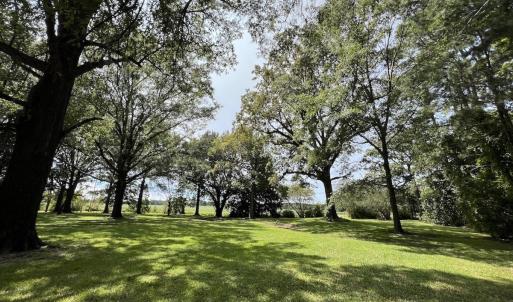 Photo #41 of SOLD property in 1395 Hwy 58 South - Tract #1, Kinston, NC 171.8 acres