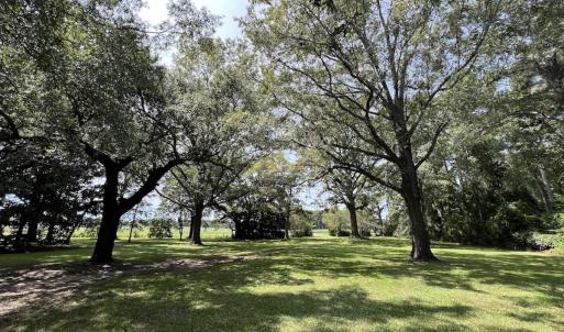 Photo #42 of SOLD property in 1395 Hwy 58 South - Tract #1, Kinston, NC 171.8 acres