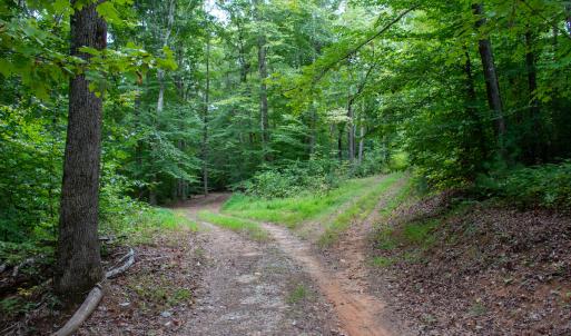Photo #26 of Off South County Line Rd., Patrick Springs, VA 134.8 acres