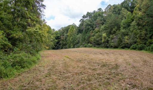 Photo #27 of Off South County Line Rd., Patrick Springs, VA 134.8 acres