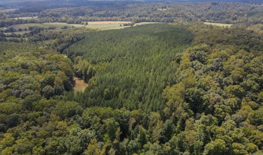 Photo #29 of Off South County Line Rd., Patrick Springs, VA 134.8 acres