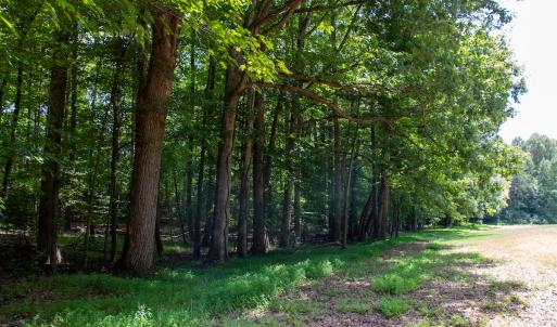 Photo #31 of Off South County Line Rd., Patrick Springs, VA 134.8 acres