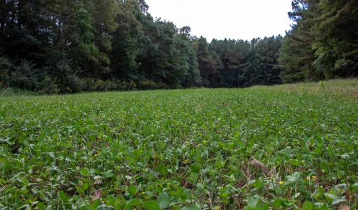 Photo #33 of Off South County Line Rd., Patrick Springs, VA 134.8 acres