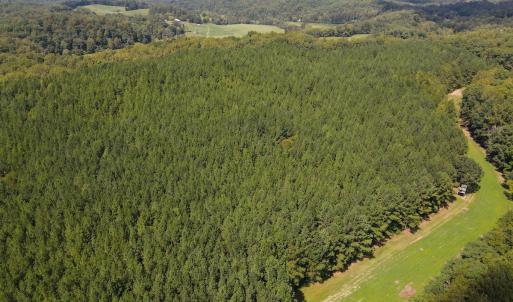 Photo #42 of Off South County Line Rd., Patrick Springs, VA 134.8 acres