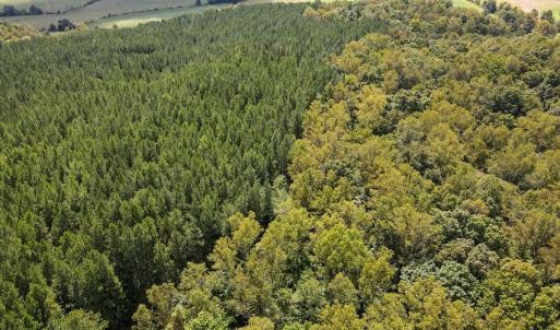 Photo #46 of Off South County Line Rd., Patrick Springs, VA 134.8 acres
