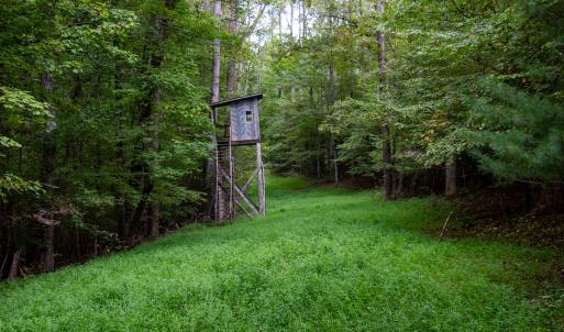 Photo #48 of Off South County Line Rd., Patrick Springs, VA 134.8 acres