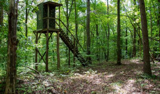 Photo #52 of Off South County Line Rd., Patrick Springs, VA 134.8 acres