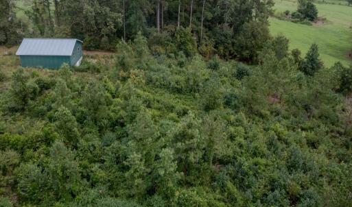 Photo #11 of 100 Haywood Cemetery Road, Rockingham, NC 7.5 acres