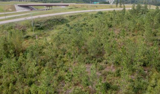 Photo #16 of 100 Haywood Cemetery Road, Rockingham, NC 7.5 acres