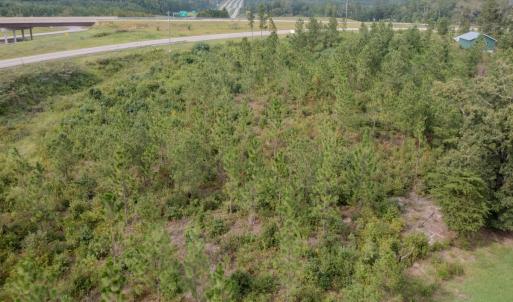 Photo #18 of 100 Haywood Cemetery Road, Rockingham, NC 7.5 acres