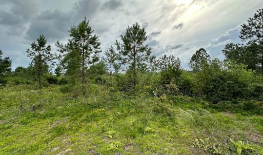Photo #9 of 100 Haywood Cemetery Road, Rockingham, NC 7.5 acres