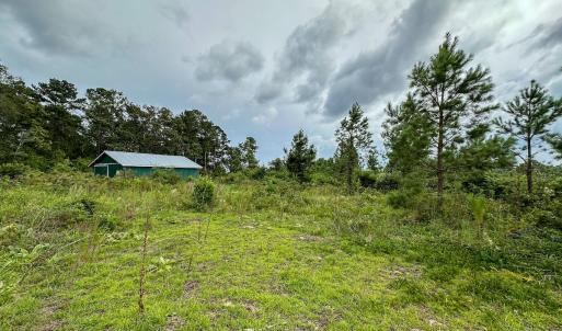 Photo #24 of 100 Haywood Cemetery Road, Rockingham, NC 7.5 acres
