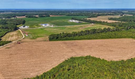 Photo #2 of SOLD property in Off Triple B Lane, Autryville , NC 14.8 acres