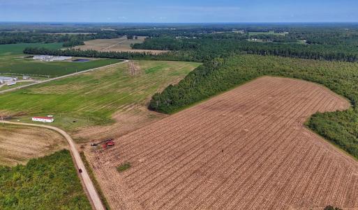 Photo #11 of SOLD property in Off Triple B Lane, Autryville , NC 14.8 acres