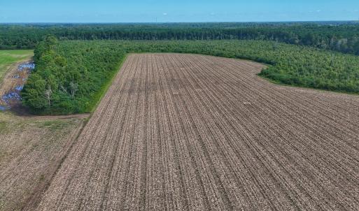 Photo #14 of SOLD property in Off Triple B Lane, Autryville , NC 14.8 acres