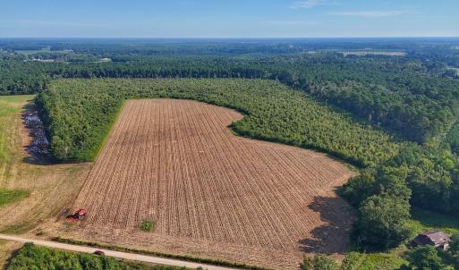 Photo #15 of SOLD property in Off Triple B Lane, Autryville , NC 14.8 acres