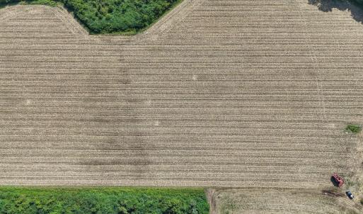Photo #16 of SOLD property in Off Triple B Lane, Autryville , NC 14.8 acres