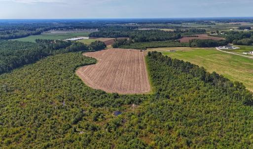 Photo #17 of SOLD property in Off Triple B Lane, Autryville , NC 14.8 acres