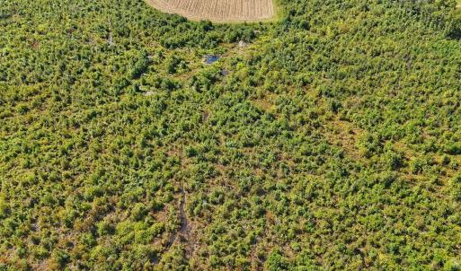 Photo #18 of SOLD property in Off Triple B Lane, Autryville , NC 14.8 acres