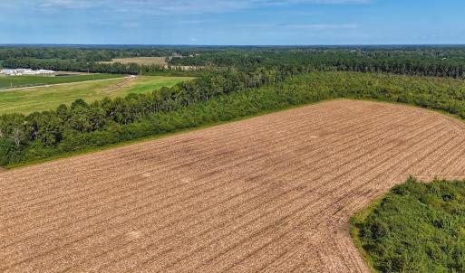 Photo #3 of SOLD property in Off Triple B Lane, Autryville , NC 14.8 acres