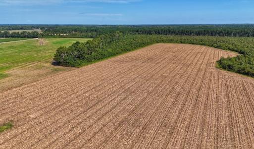 Photo #5 of SOLD property in Off Triple B Lane, Autryville , NC 14.8 acres
