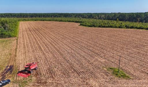 Photo #6 of SOLD property in Off Triple B Lane, Autryville , NC 14.8 acres