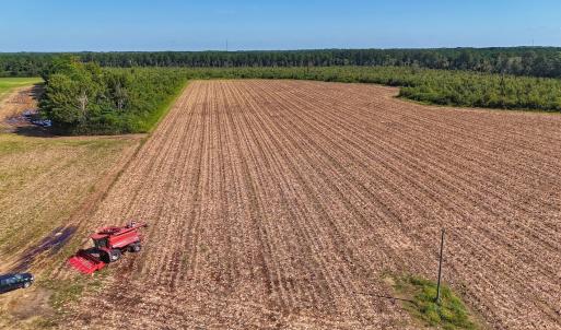 Photo #7 of SOLD property in Off Triple B Lane, Autryville , NC 14.8 acres