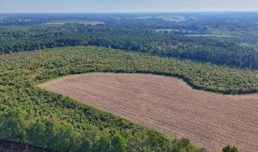 Photo #8 of SOLD property in Off Triple B Lane, Autryville , NC 14.8 acres