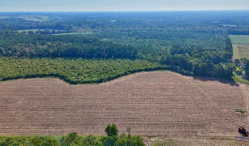 Photo #9 of SOLD property in Off Triple B Lane, Autryville , NC 14.8 acres