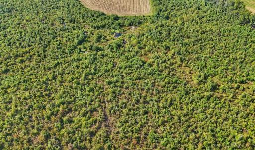 Photo #21 of SOLD property in Off Triple B Lane, Autryville , NC 14.8 acres