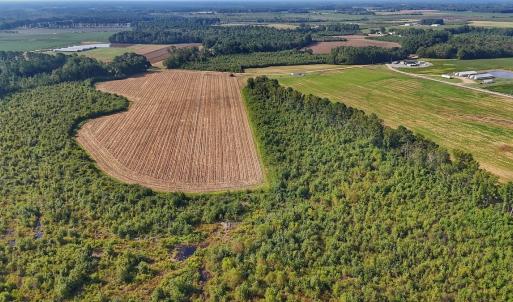 Photo #22 of SOLD property in Off Triple B Lane, Autryville , NC 14.8 acres