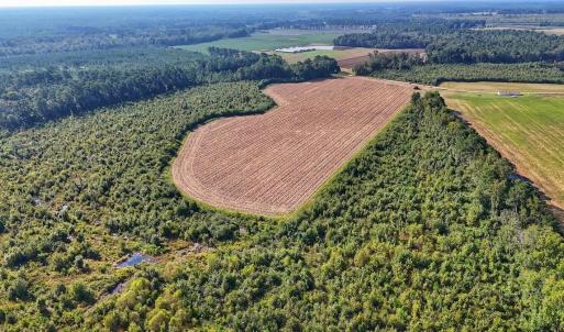 Photo #23 of SOLD property in Off Triple B Lane, Autryville , NC 14.8 acres