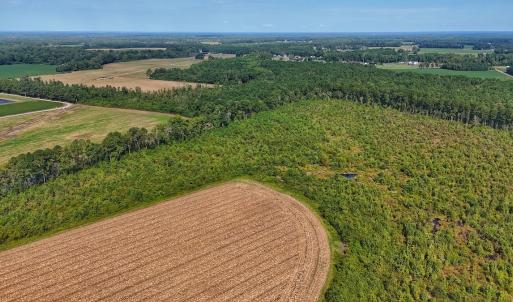 Photo #25 of SOLD property in Off Triple B Lane, Autryville , NC 14.8 acres